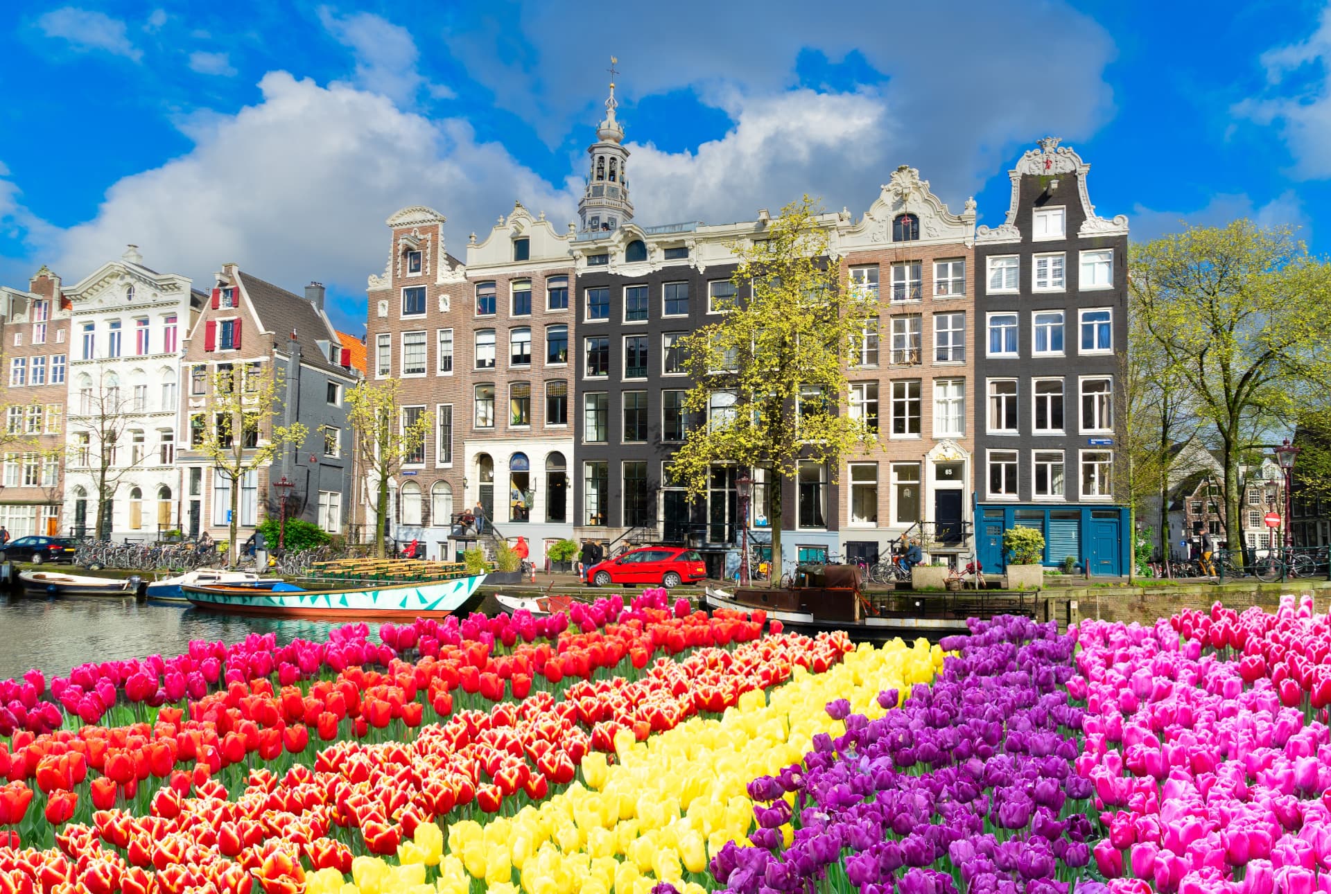 Colourful tulips in front of traditional gabled canal houses in Amsterdam
