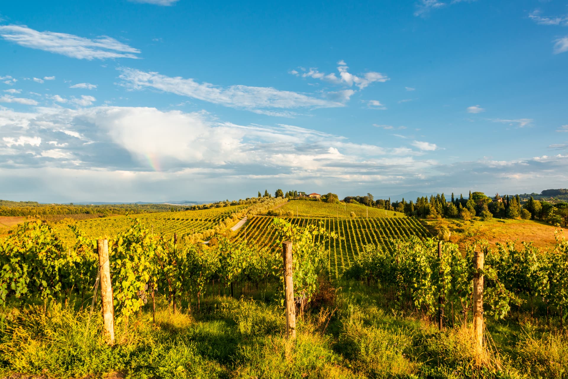 Tuscany Wine Day Trip From Rome: Montepulciano, Pienza and Val d’Orcia