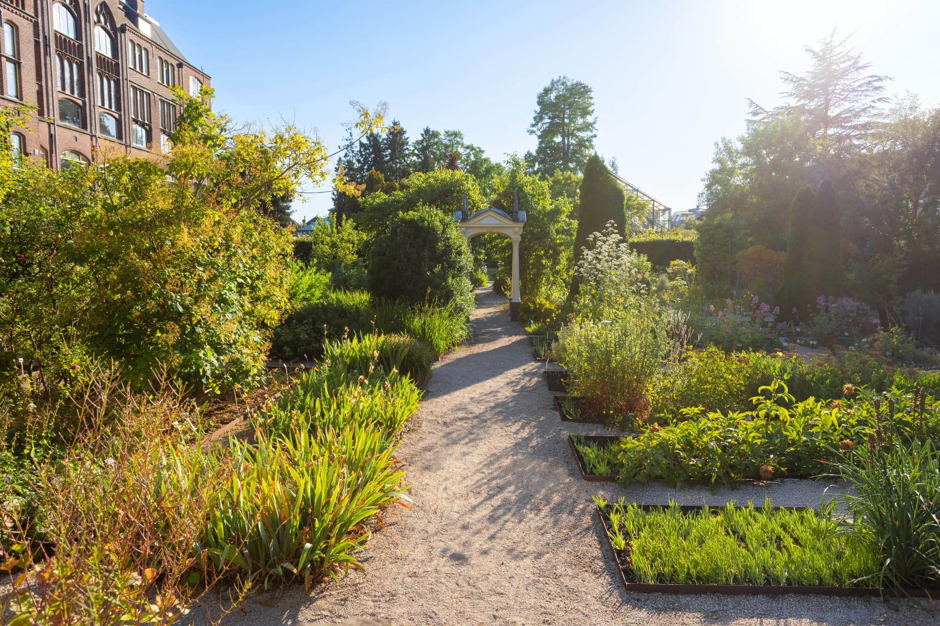 A gravel path through the outdoor gardens of the Hortus Botanicus in Amsterdam with a classical gateway and tall trees