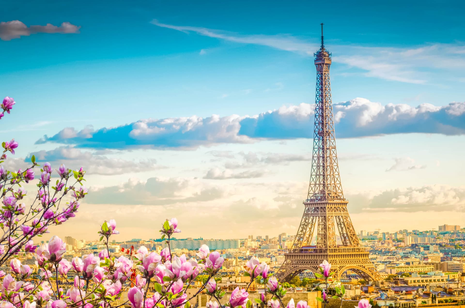 Eiffel Tower above Paris rooftops with flowering trees