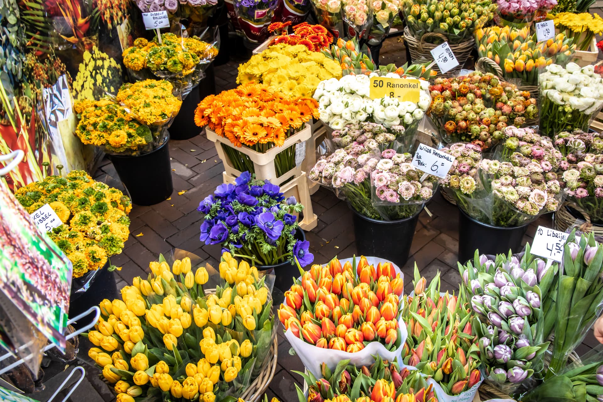 Buckets of tulips and flowers for sale at the Bloemenmarkt in Amsterdam