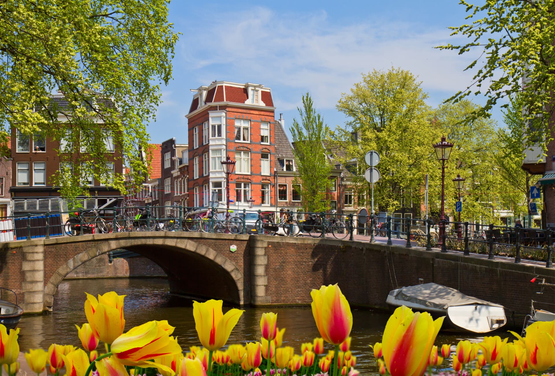 Yellow and red tulips in the foreground with a brick canal bridge and canal houses in Amsterdam behind