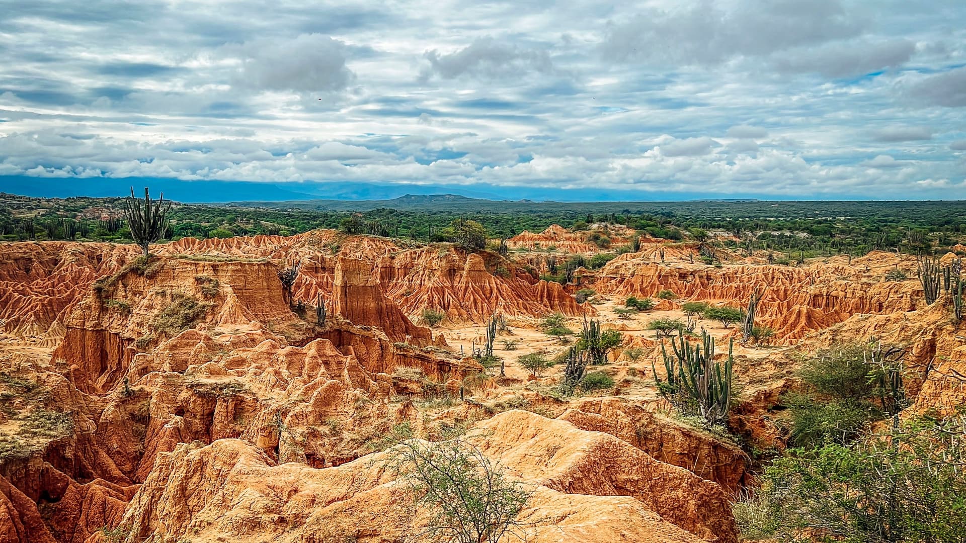 Orange eroded formations and tall cacti beneath dramatic clouds in Colombia's Tatacoa Desert
