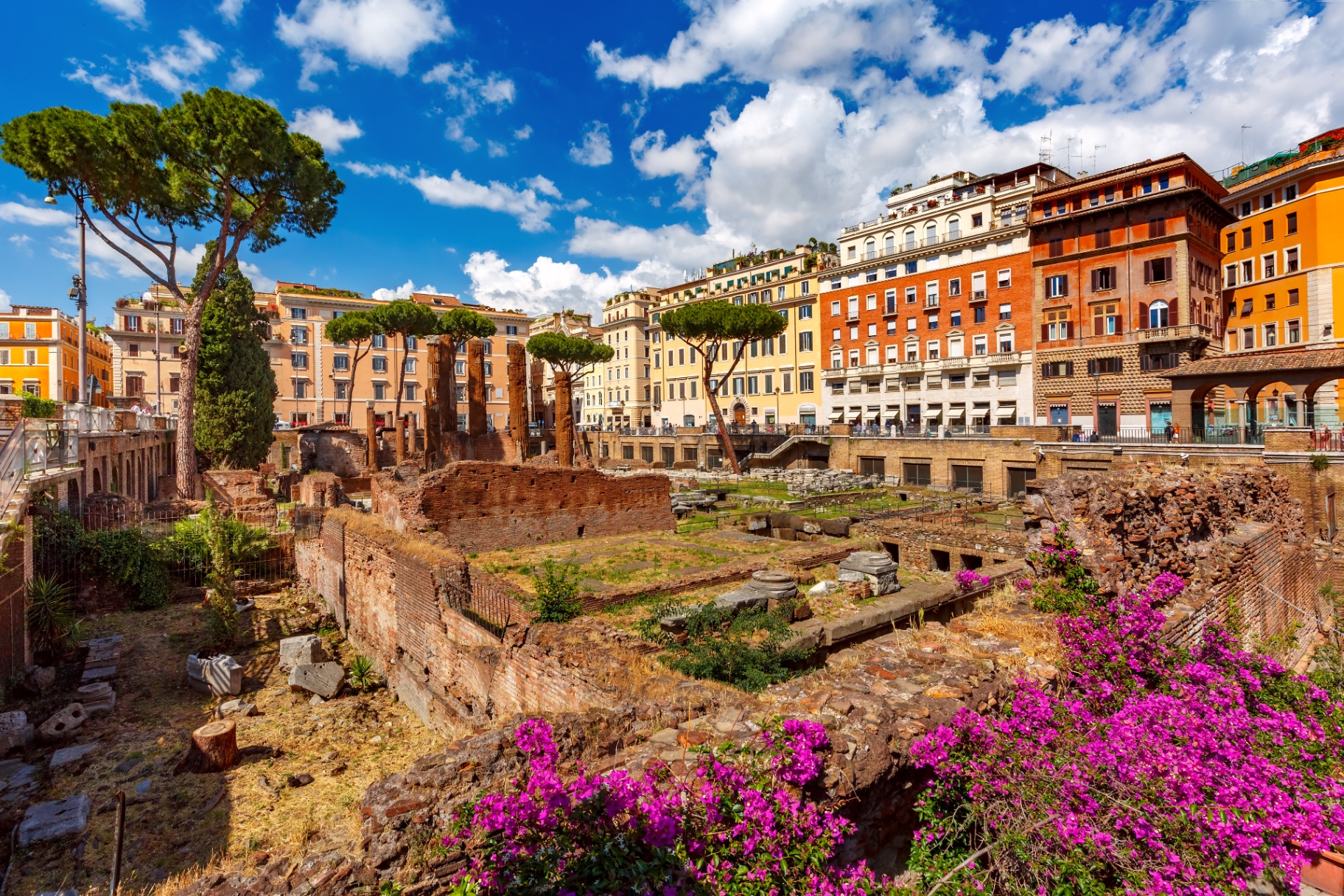 Largo di Torre Argentina archaeological ruins with Roman temples and flowers in central Rome