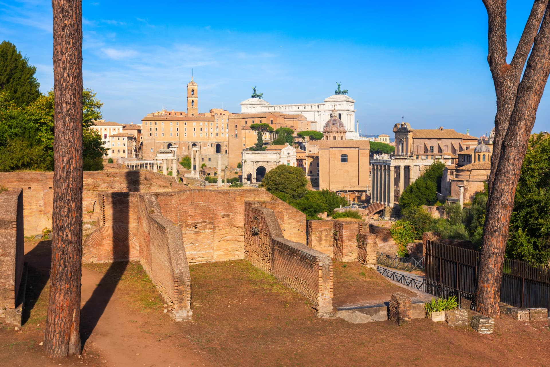 Palatine Hill brick ruins framed by pines with the Vittoriano behind