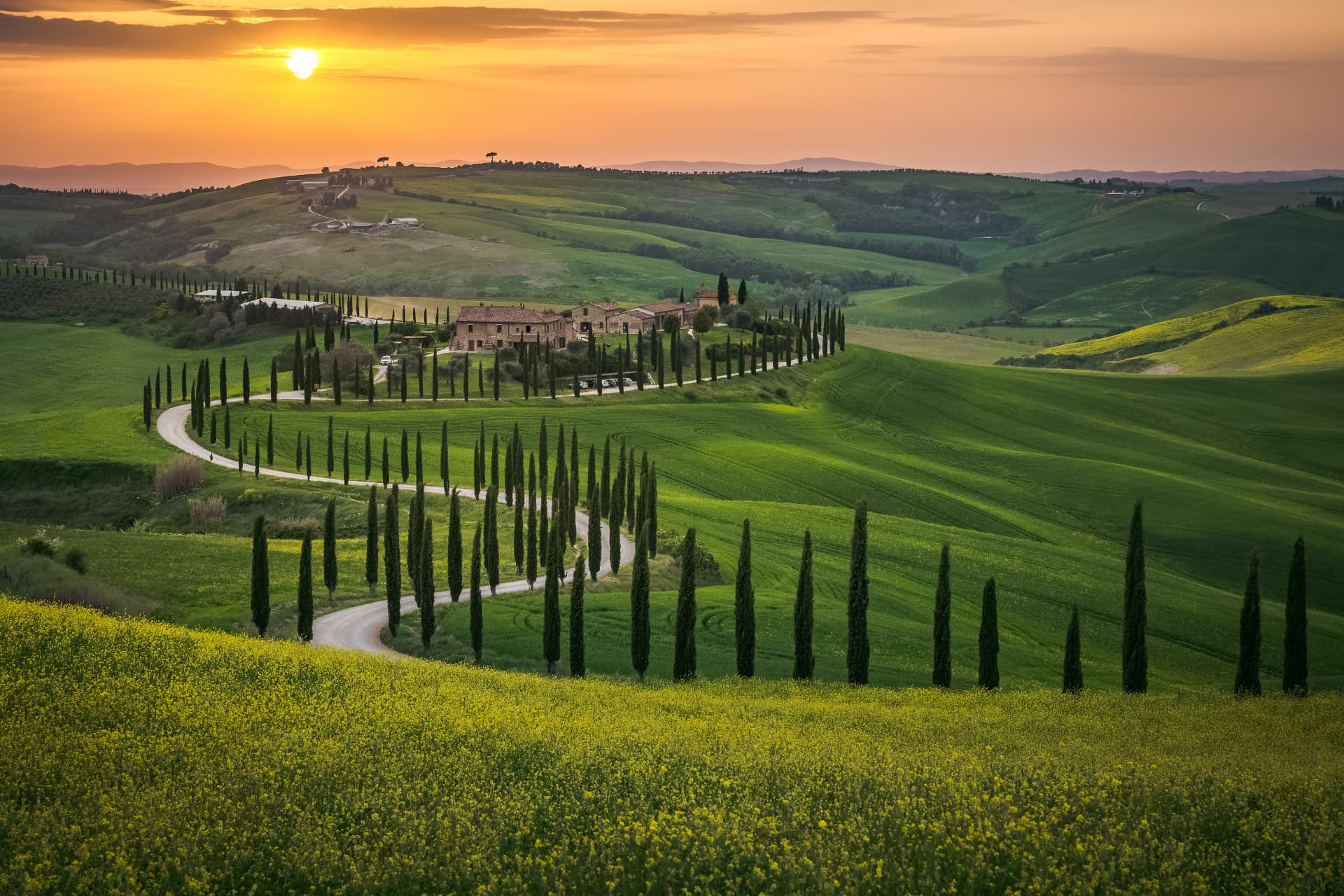 A cypress-lined road winding through the Tuscan countryside