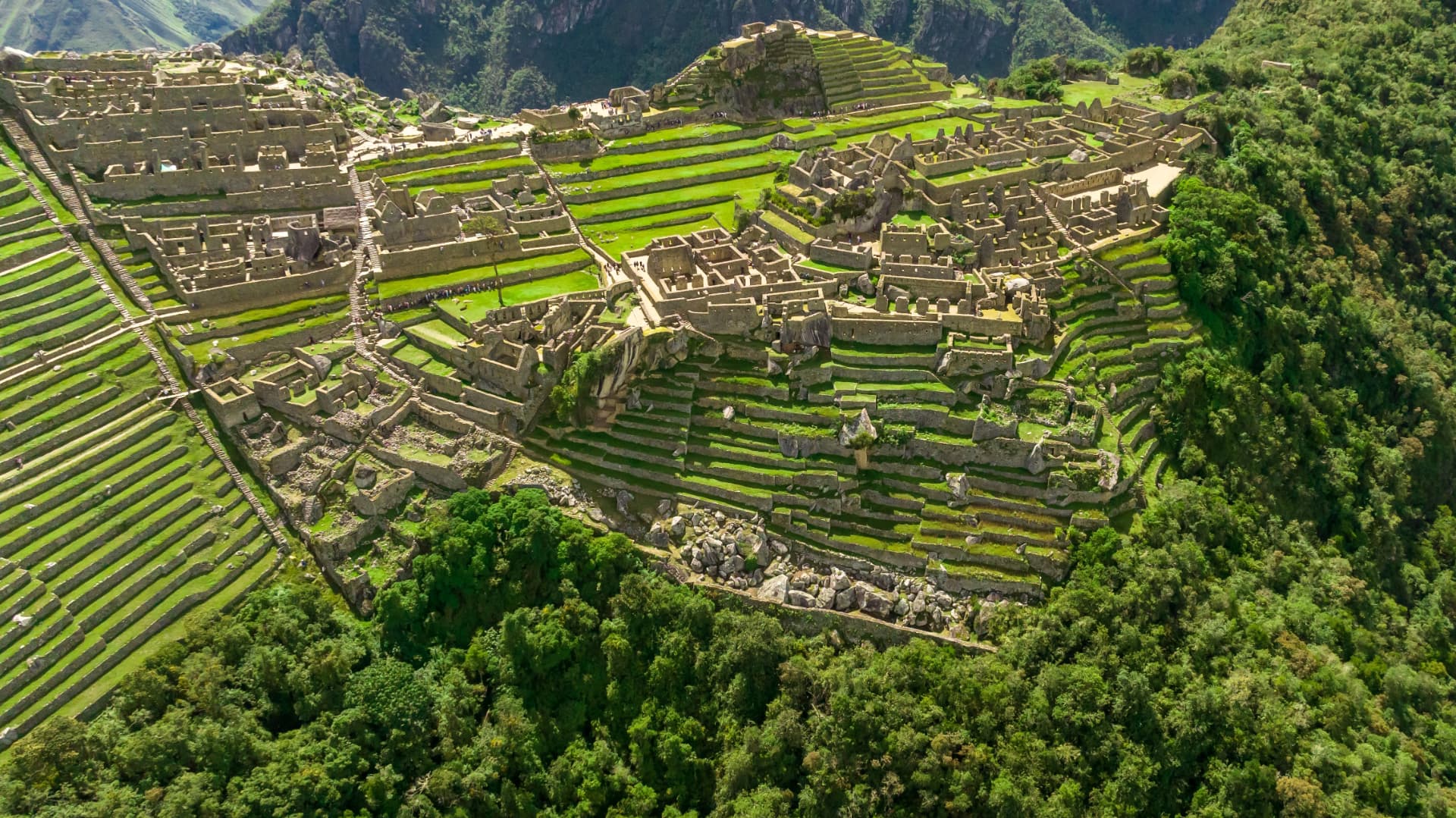 Wide aerial view of the Machu Picchu citadel surrounded by cloud forest