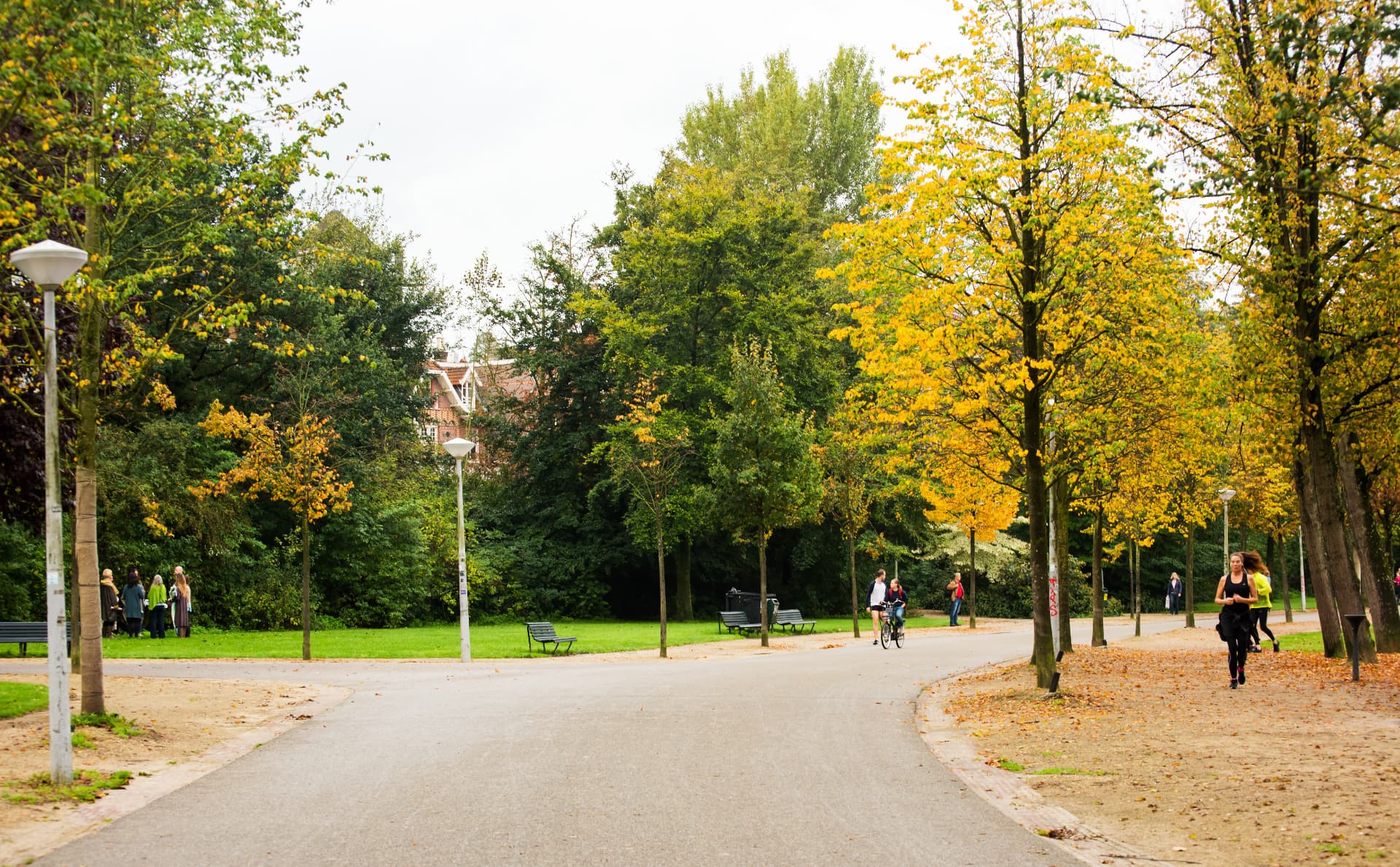 A wide tree-lined avenue in Vondelpark, Amsterdam, with people walking and cycling in early autumn