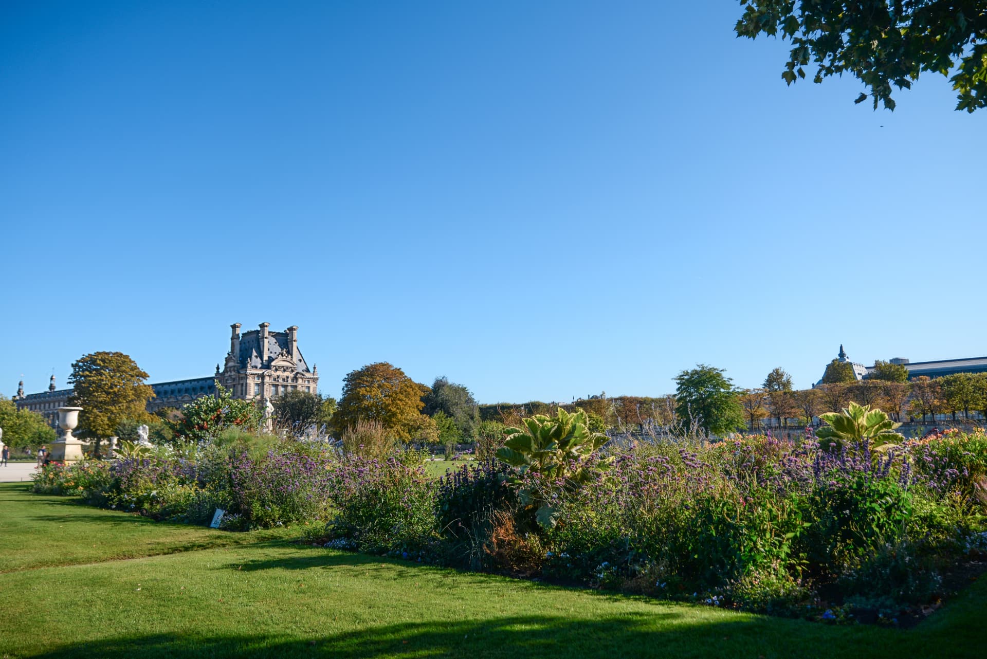 Flower beds and lawn in the Tuileries Garden with a Louvre wing in the distance