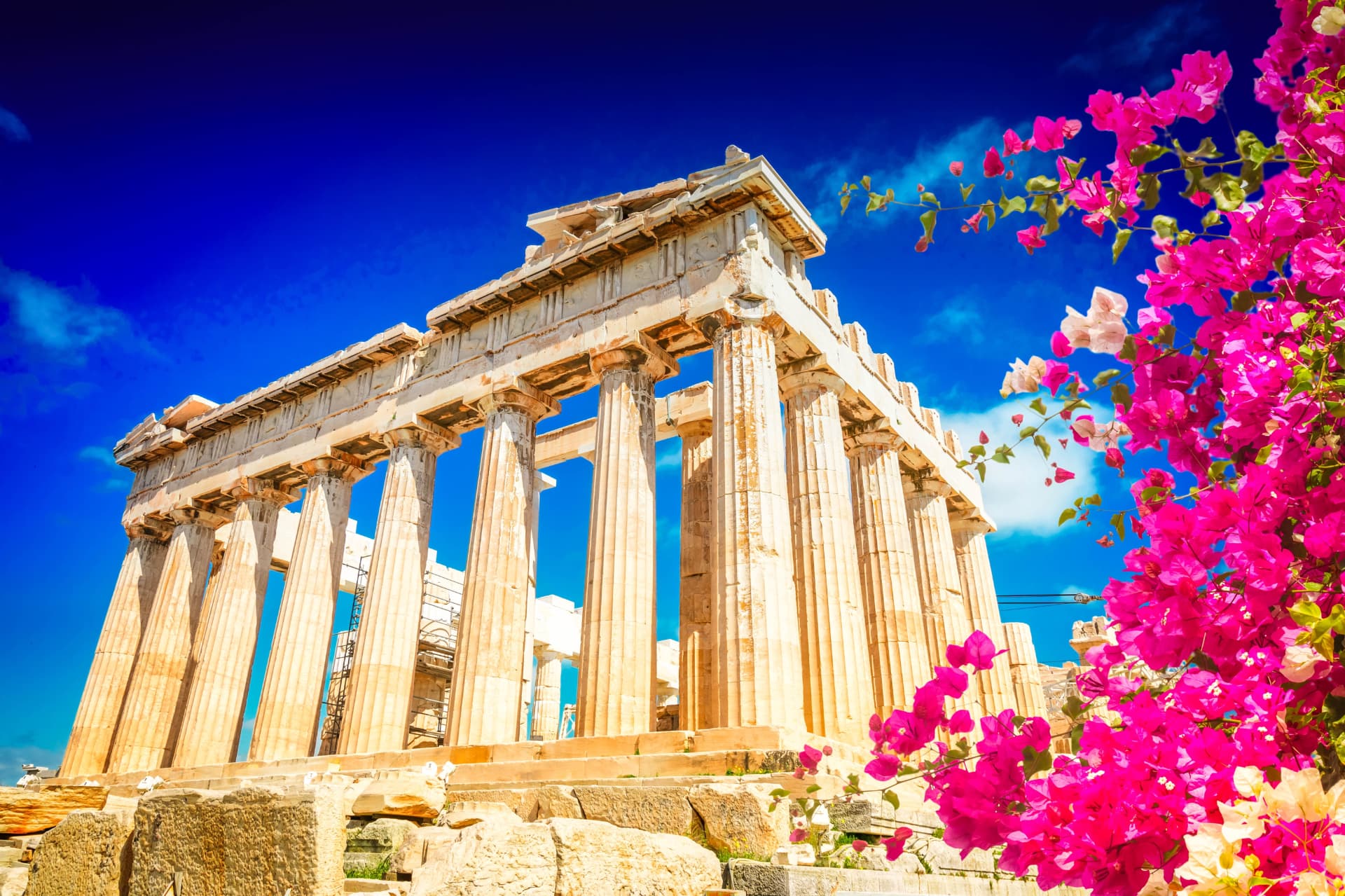 The Parthenon columns under a deep blue sky with bougainvillea in the foreground