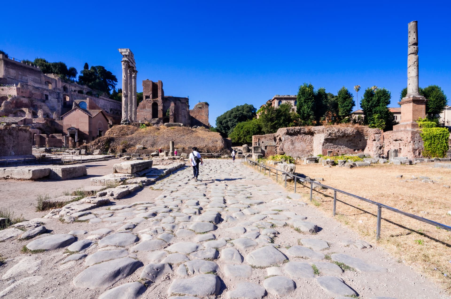 Basalt paving of the Via Sacra with the Column of Phocas and Palatine ruins