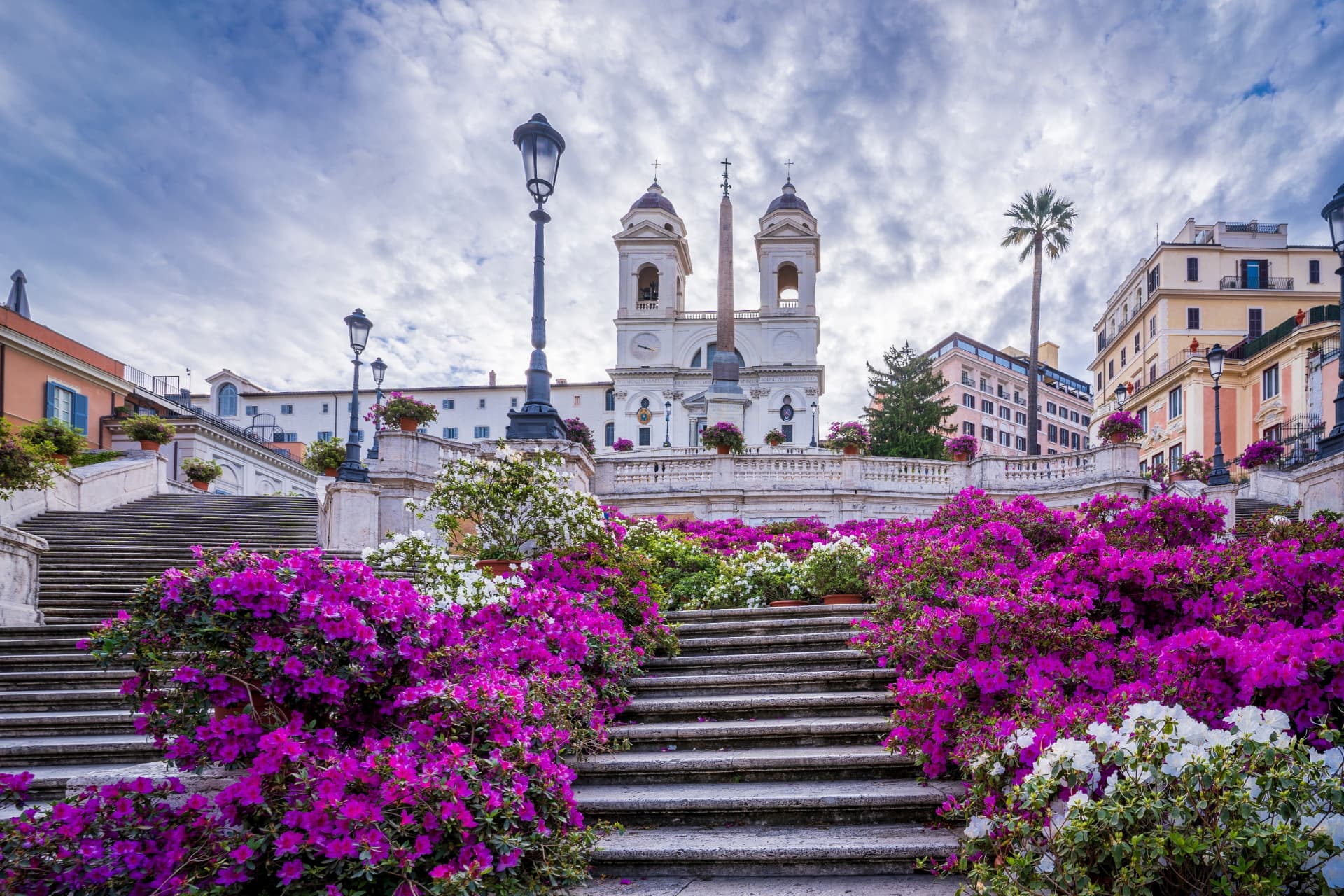 Pink and white azaleas displayed on the Spanish Steps
