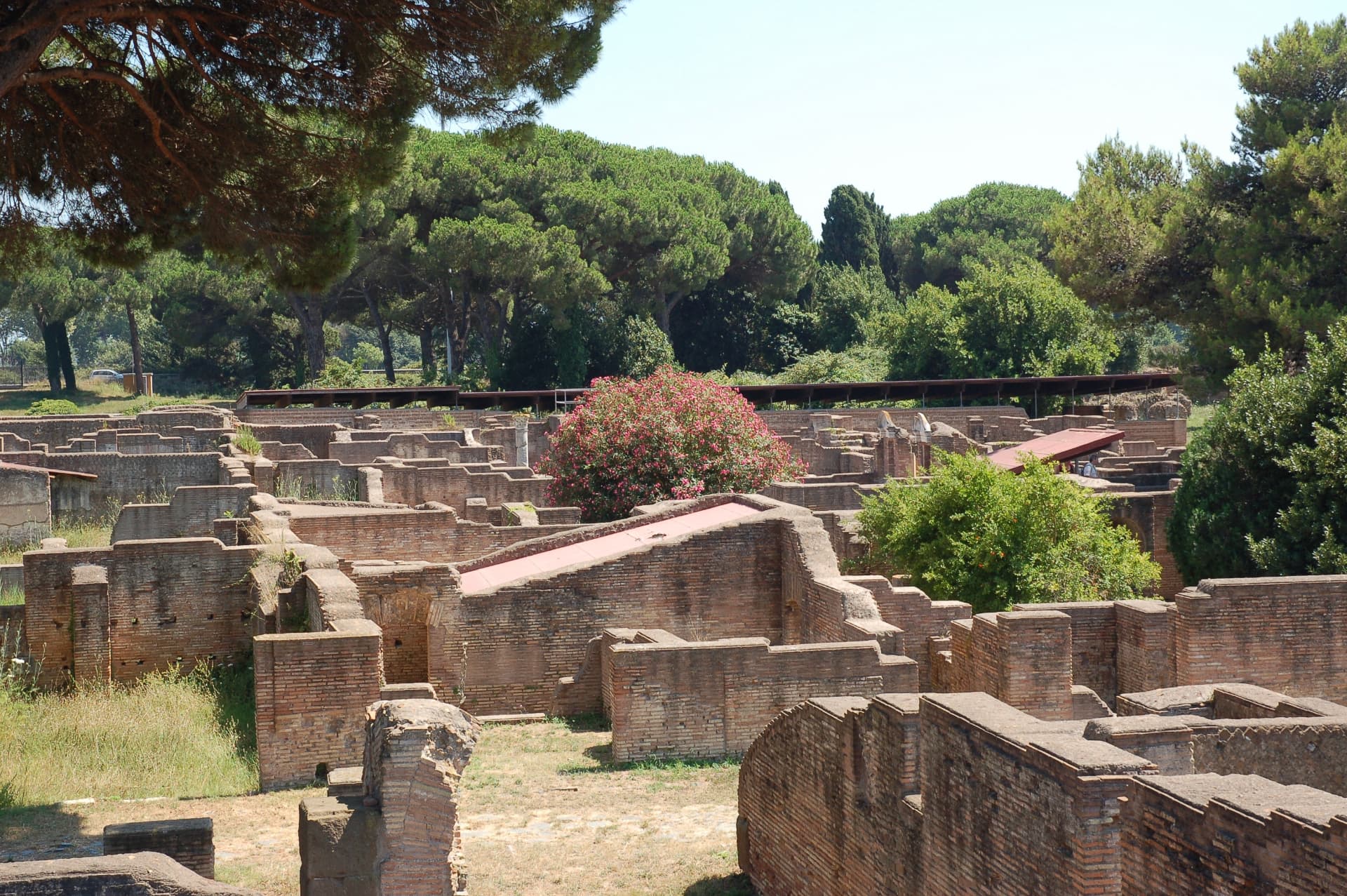 The dense brick walls of Ostia Antica's apartment blocks and warehouses, with flowering oleander among the ruins
