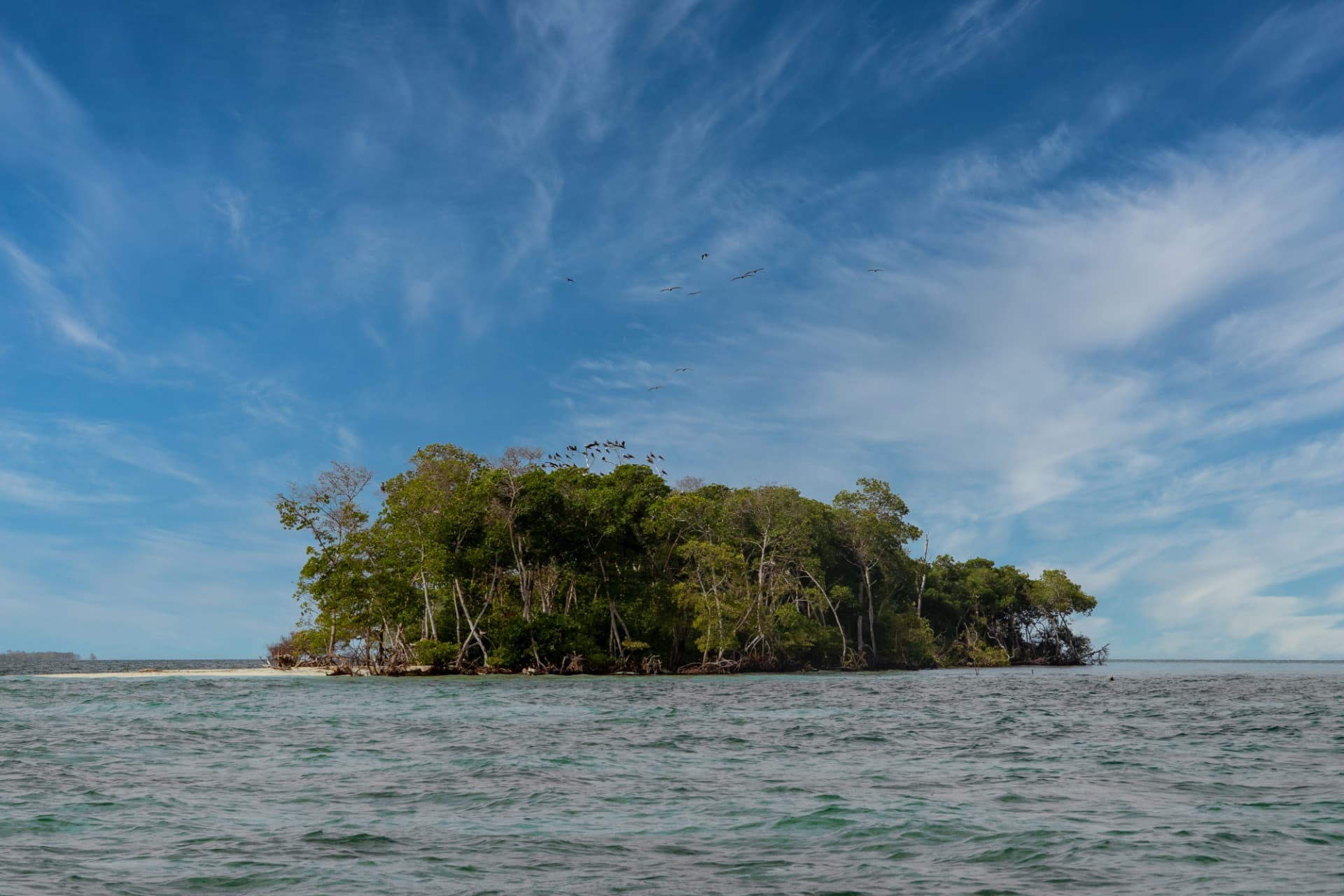 Small forested island surrounded by Caribbean water in Colombia's San Bernardo archipelago