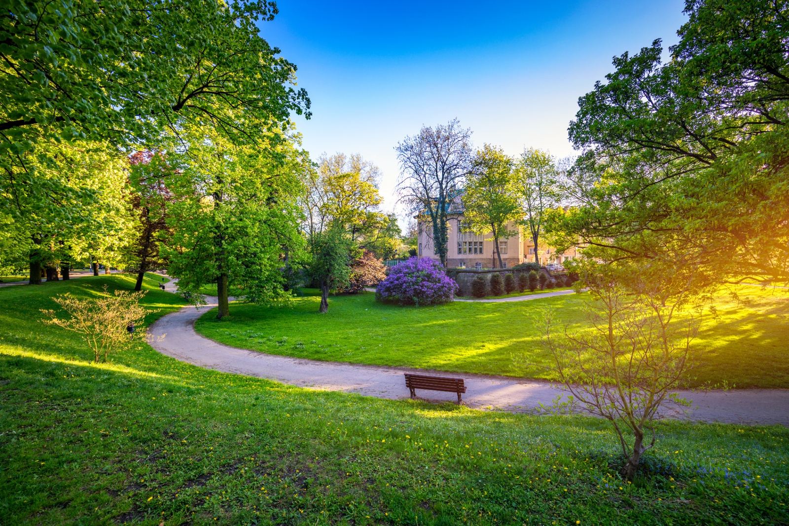 A sunny green park in Prague with winding paths, leafy trees, a wooden bench and a historic building in the background, captured inside Letná Park