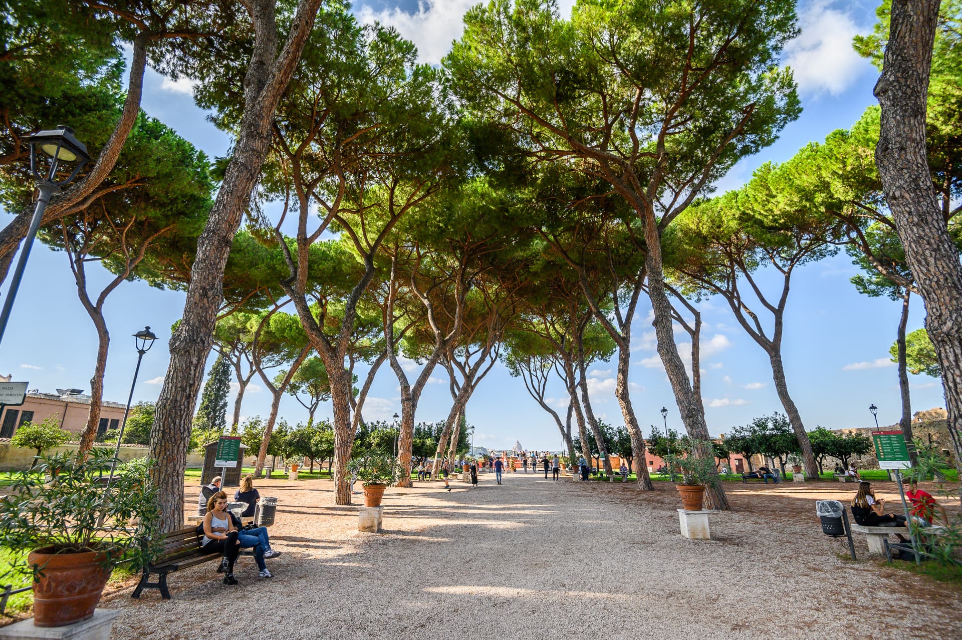 Stone pines line the central avenue through the Orange Garden towards the viewing terrace
