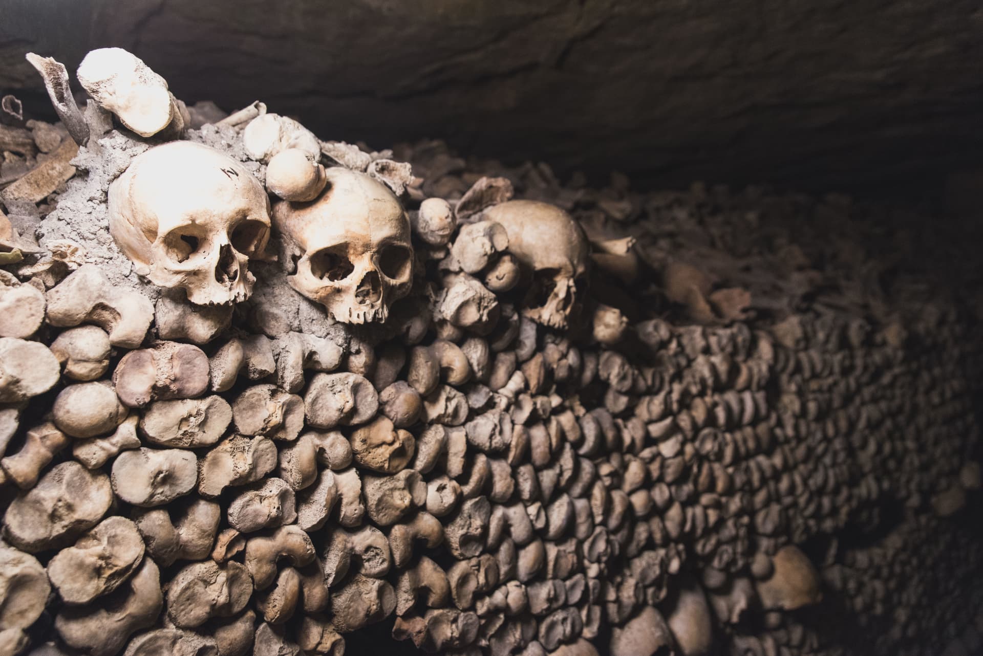 Human skulls and bones stacked in a wall inside the Catacombs of Paris ossuary