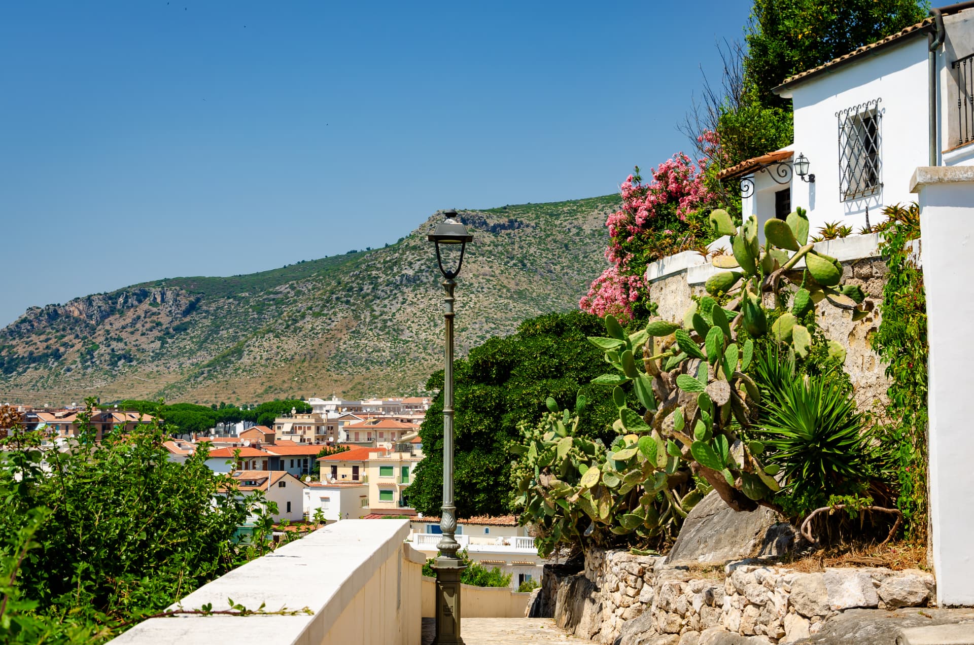 Whitewashed lane with cactus and flowering plants in Sperlonga's old town