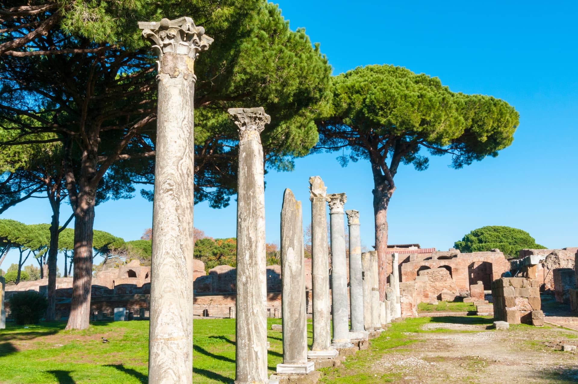 A row of re-erected marble columns among the ruins of Ostia Antica, with brick walls and umbrella pines behind