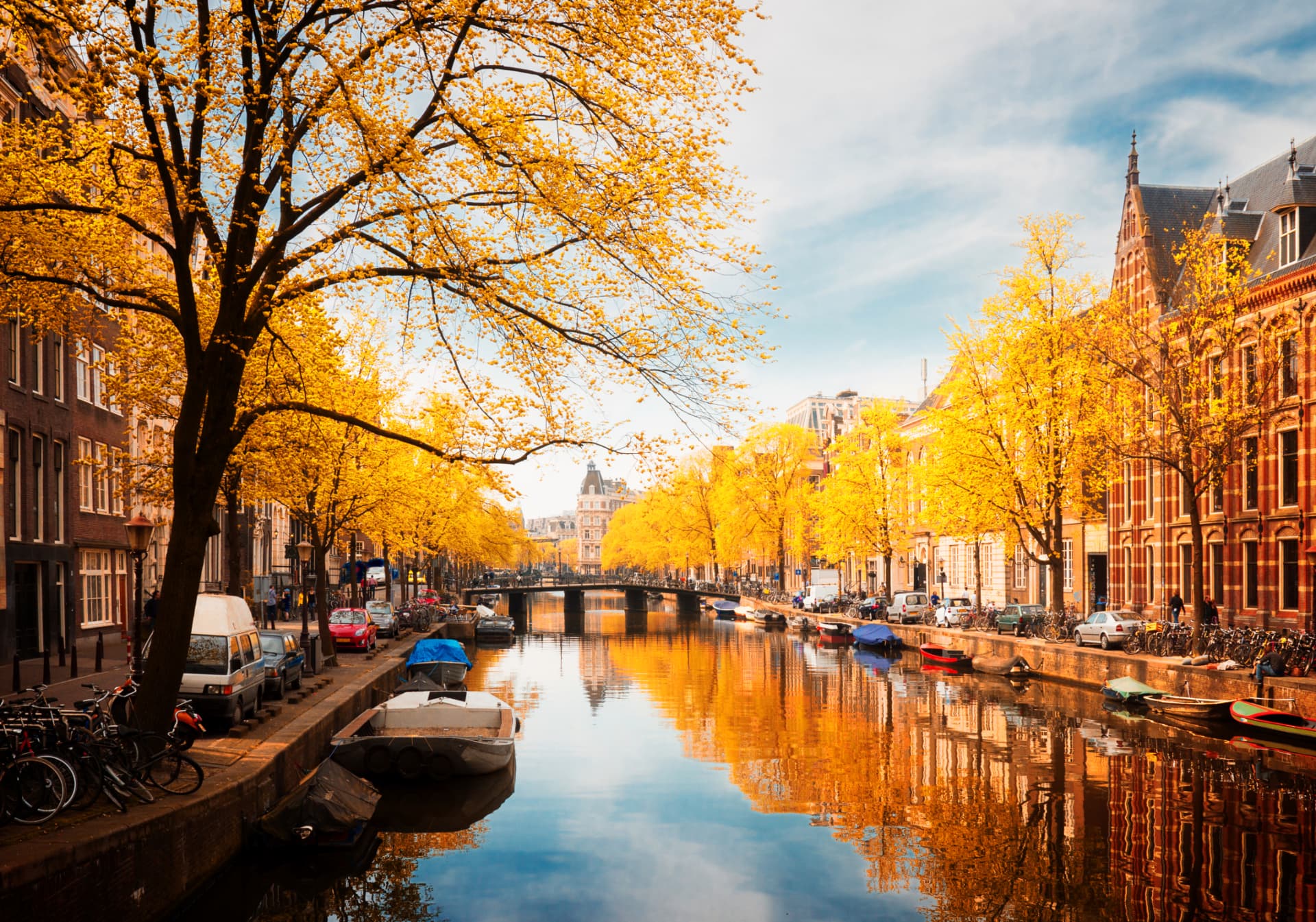 Golden autumn trees reflected in a calm canal in Amsterdam's canal ring with boats moored along the quay