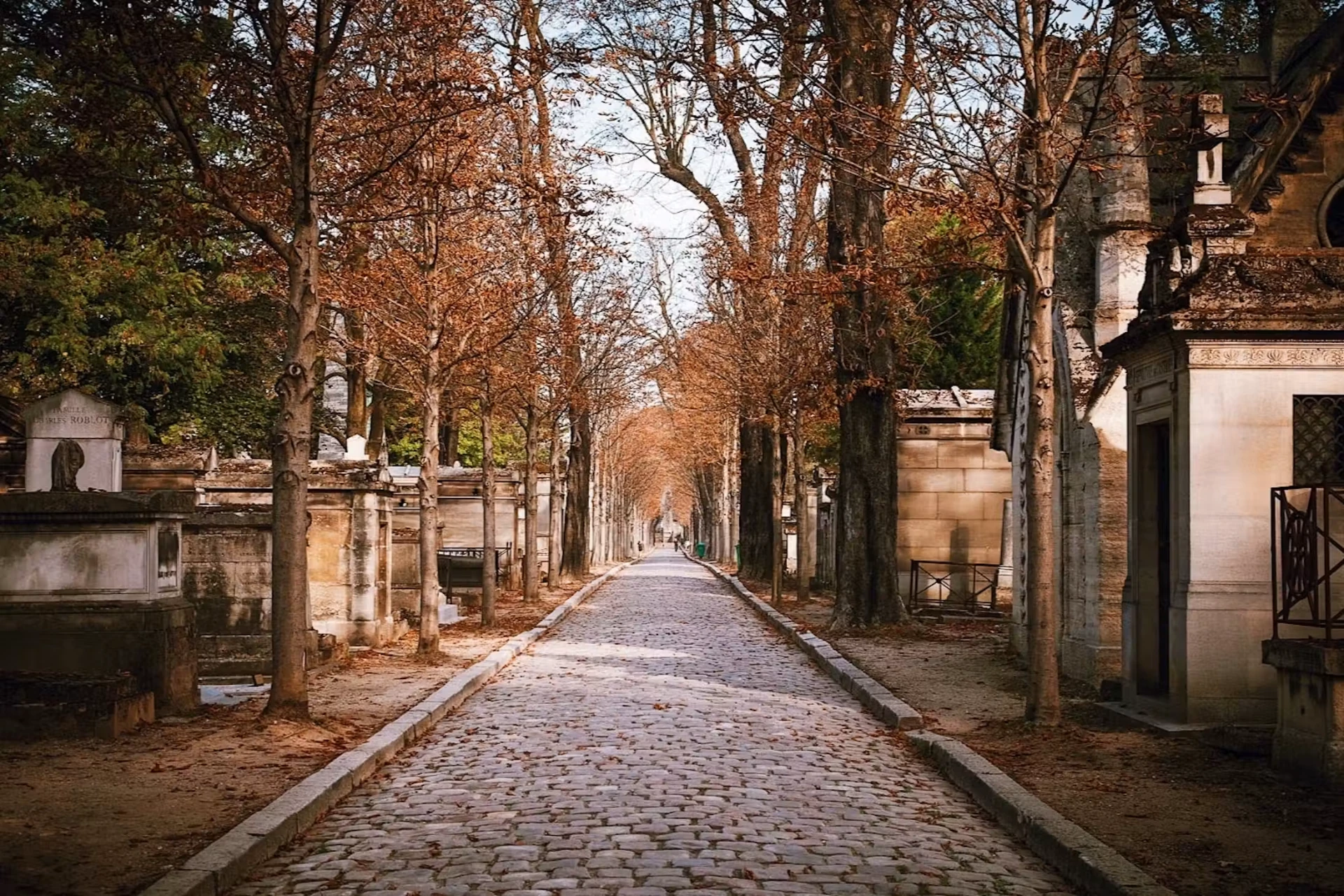 A long cobbled avenue in Père Lachaise Cemetery in autumn, lined with bare trees and stone family tombs