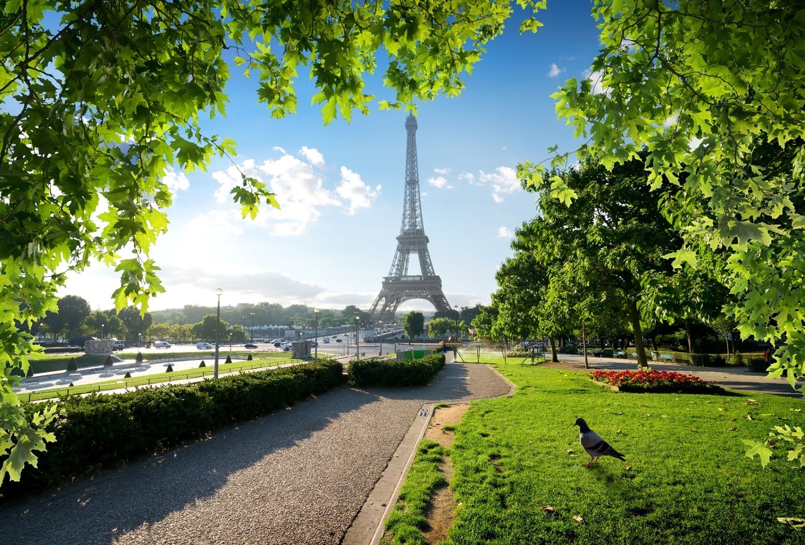 Eiffel Tower seen from the Trocadéro gardens through a canopy of green summer trees and a gravel pathway