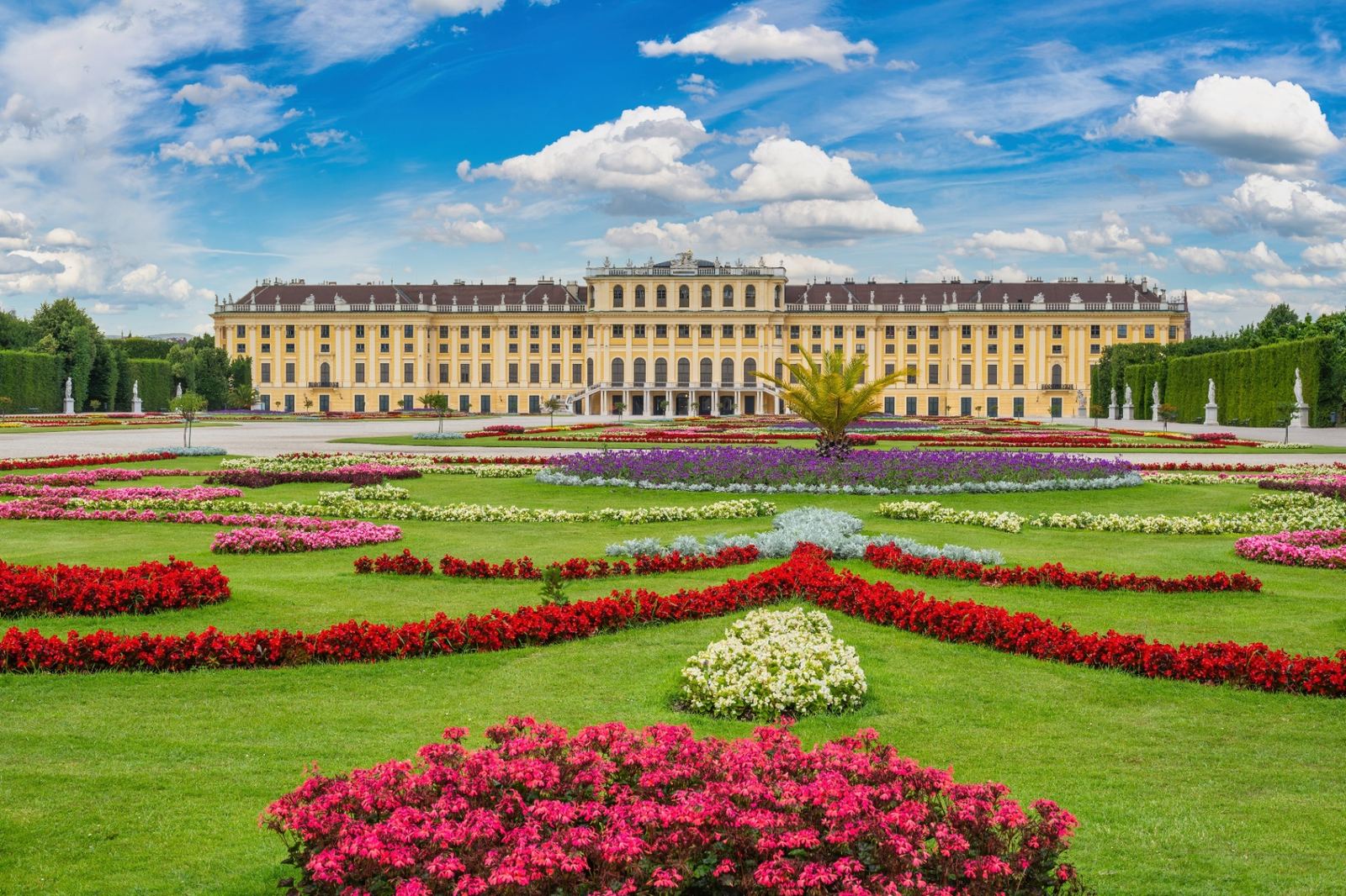 Schönbrunn Palace in Vienna with its yellow Baroque facade behind formal gardens of red, pink and purple flowerbeds
