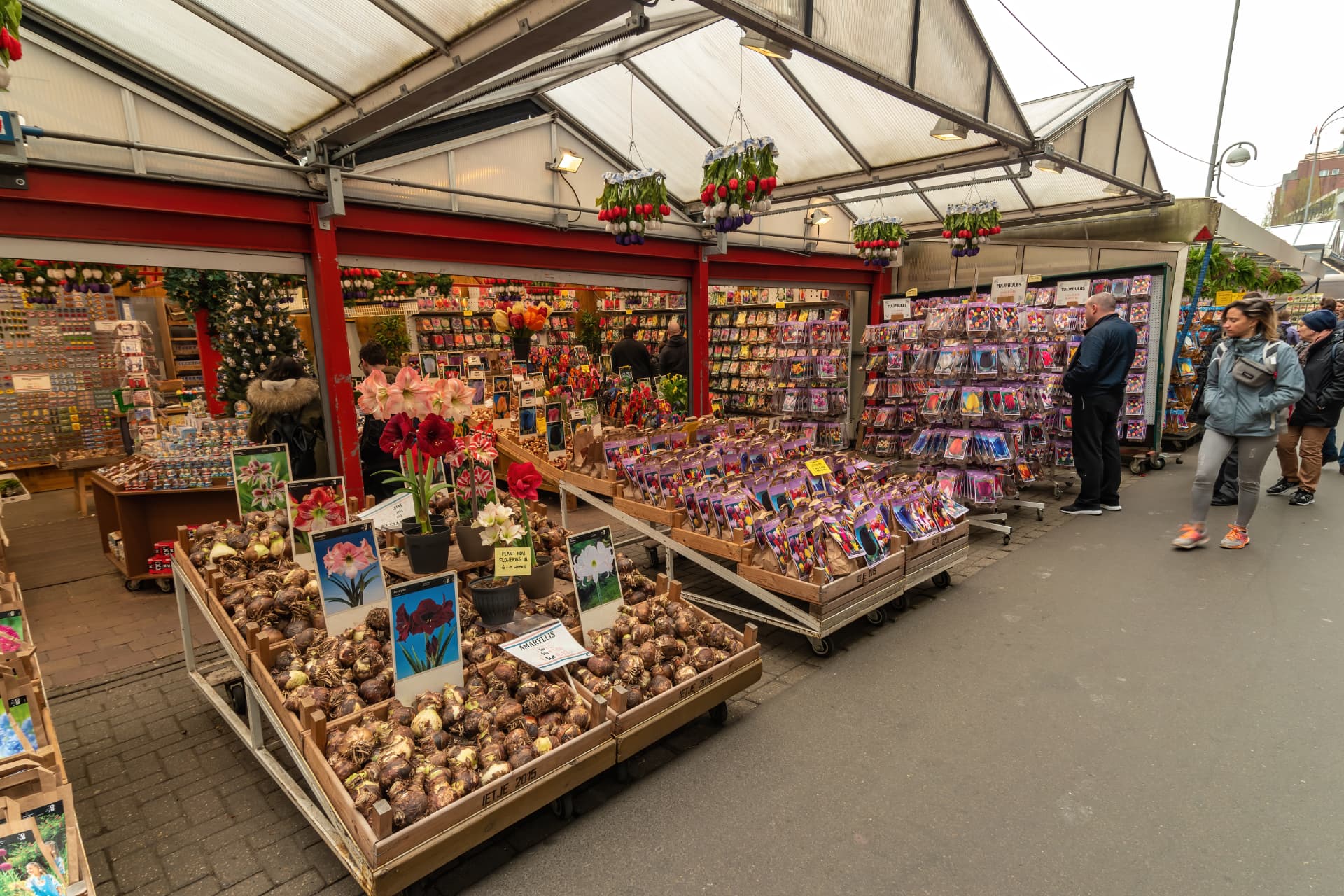 Bulbs, amaryllis and seed packets on display at a Bloemenmarkt stall in Amsterdam