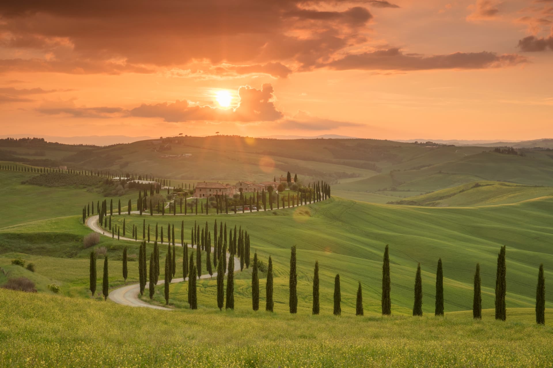 Winding cypress-lined road leading to a farmhouse in the Val d'Orcia at sunset