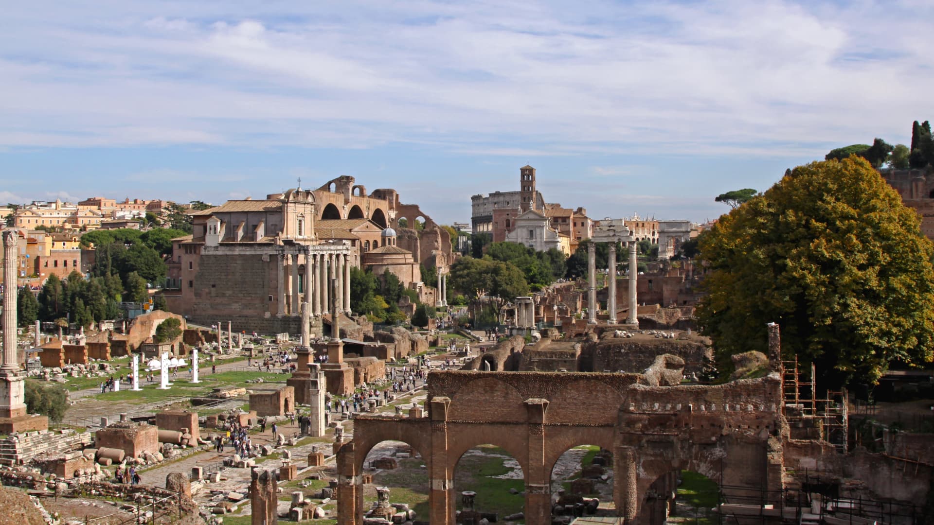 Roman Forum ruins with Palatine Hill behind