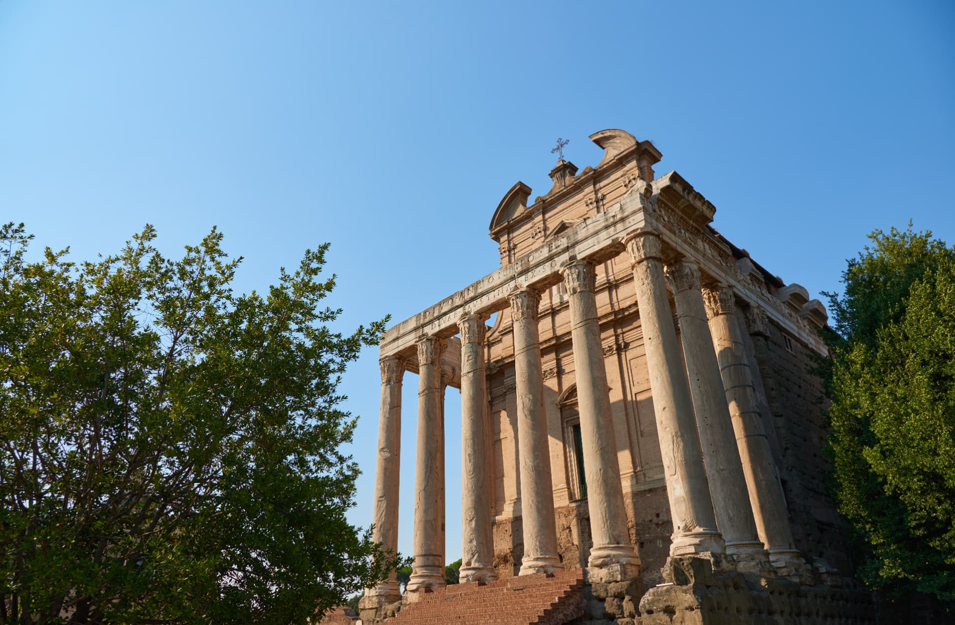 Temple of Antoninus and Faustina seen at an angle between trees in the Roman Forum