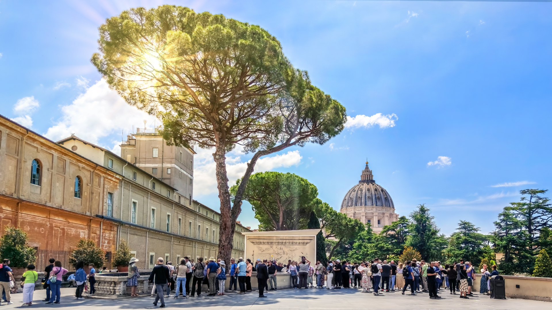 Vatican courtyard with pine tree and dome view