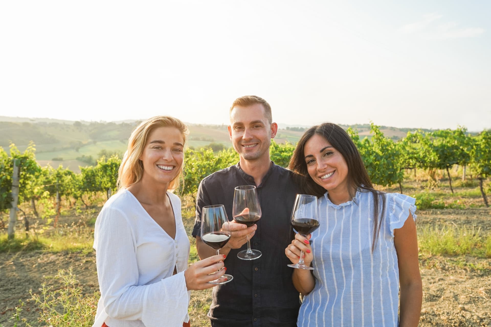 Visitors holding glasses of red wine during a tasting in a Tuscan vineyard