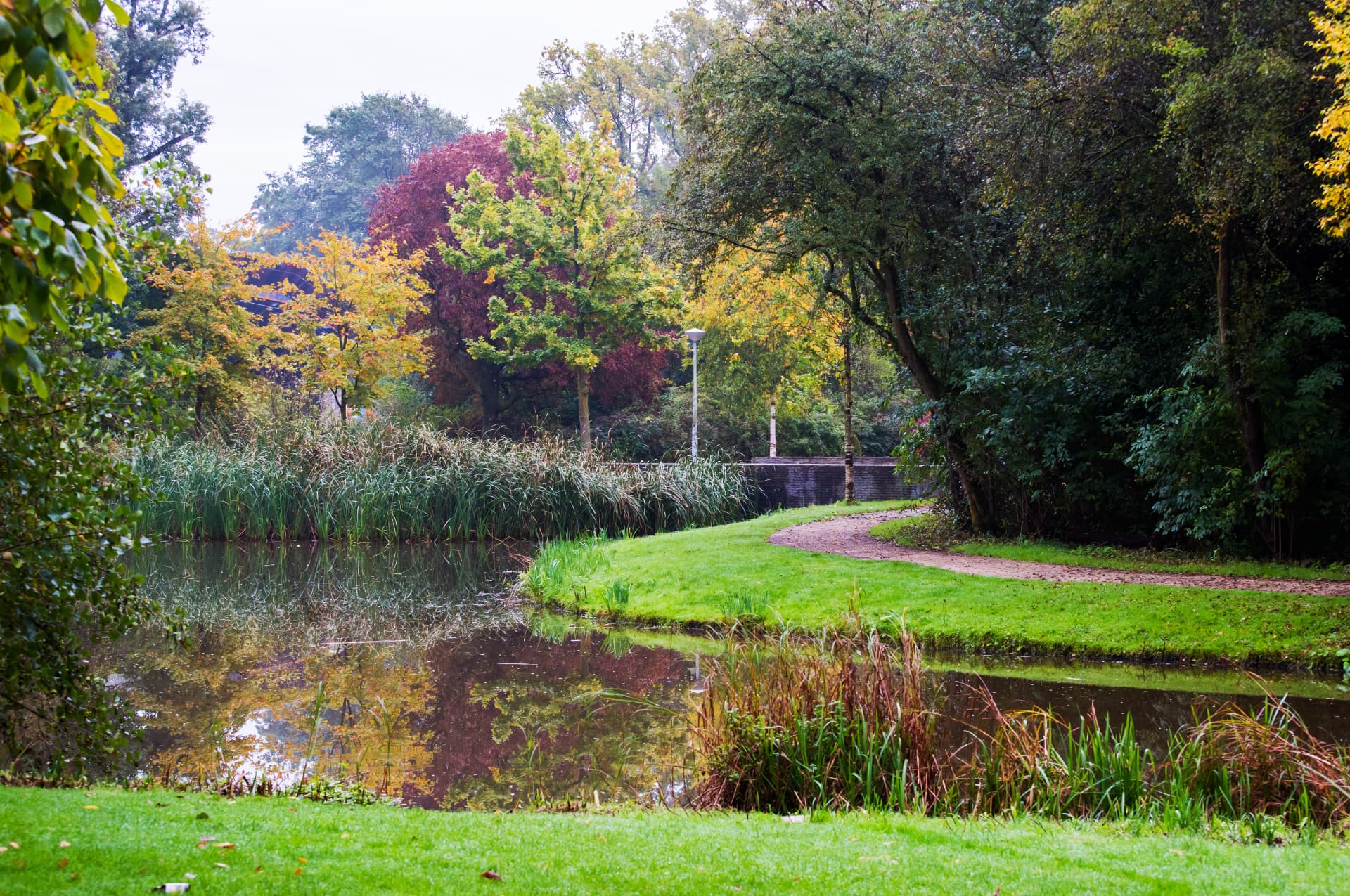 A quiet gravel path curving beside water and reeds in Vondelpark, Amsterdam