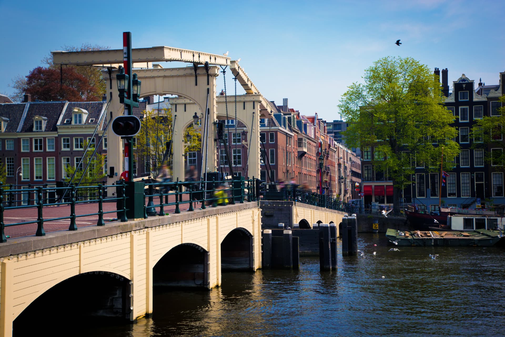 The white wooden Magere Brug over the Amstel in daylight with cyclists crossing and canal houses behind