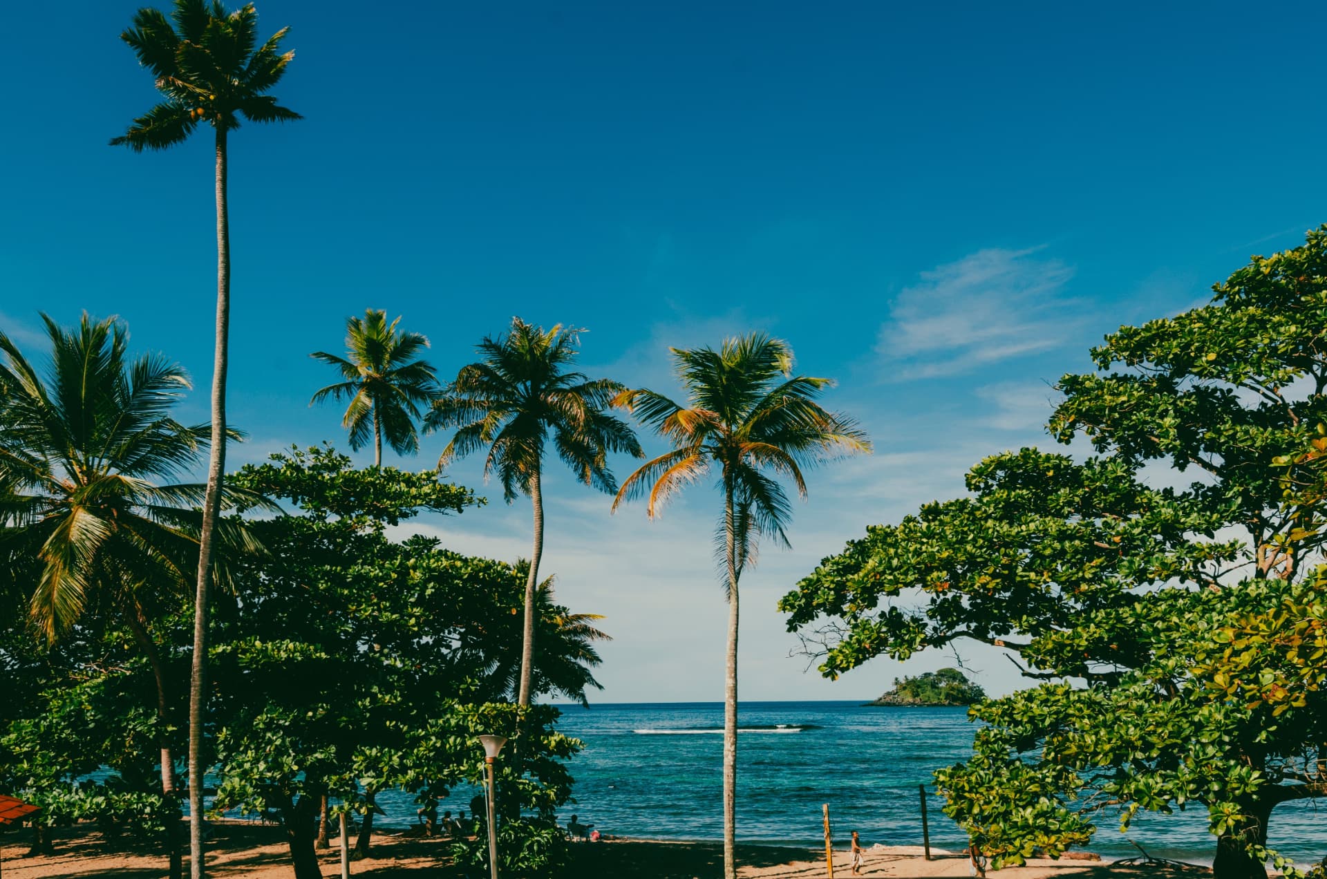 Palm trees and Caribbean water on Colombia's remote north-west coast near Capurganá in Chocó