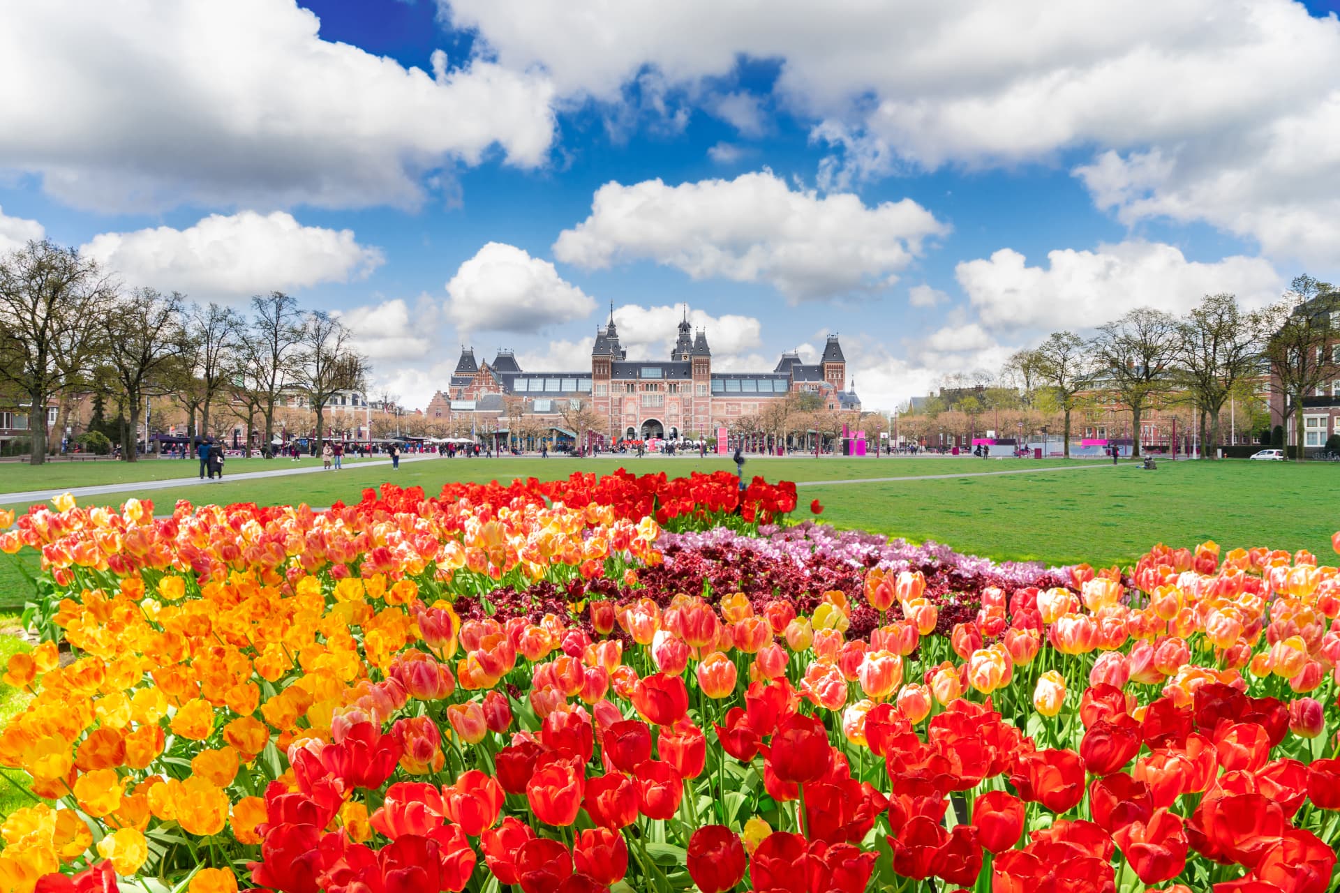 Tulip beds on the Museumplein with the Rijksmuseum behind, Amsterdam