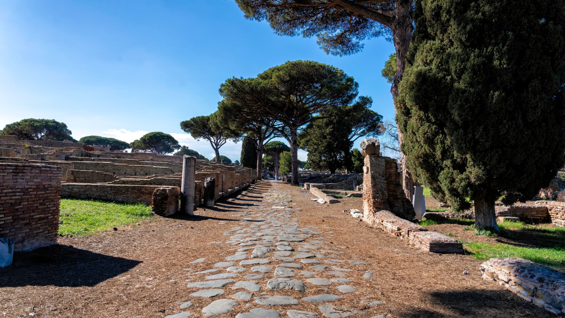 The ancient basalt paving of the Decumanus Maximus running through Ostia Antica, shaded by umbrella pines