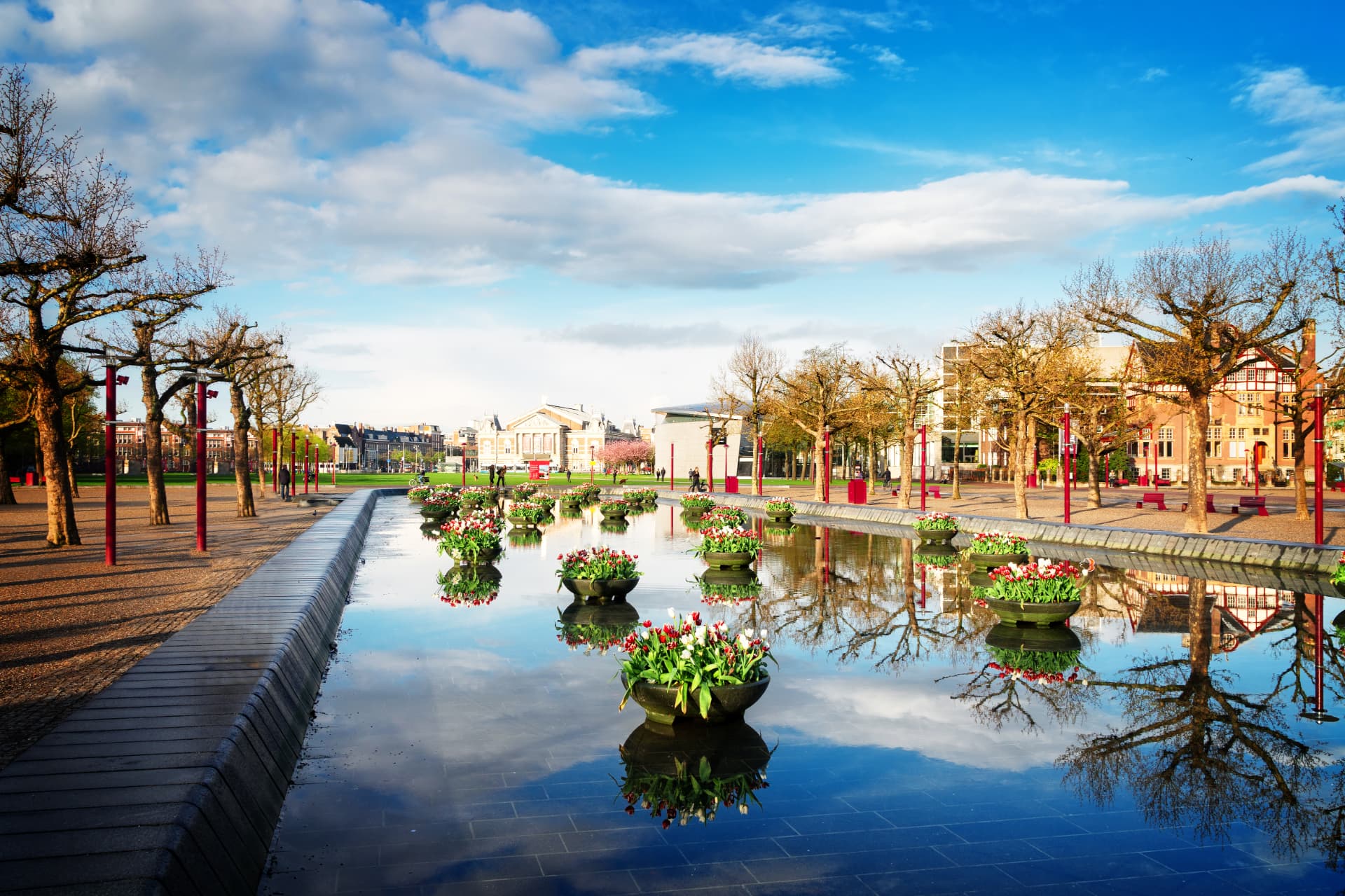 Tulip bowls reflected in the Museumplein pond under a blue sky, looking toward the Concertgebouw