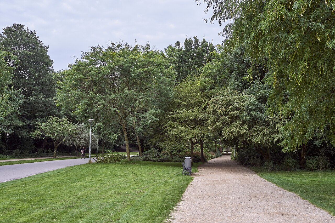 Tree-lined path beside a pond in the Vondelpark, Amsterdam