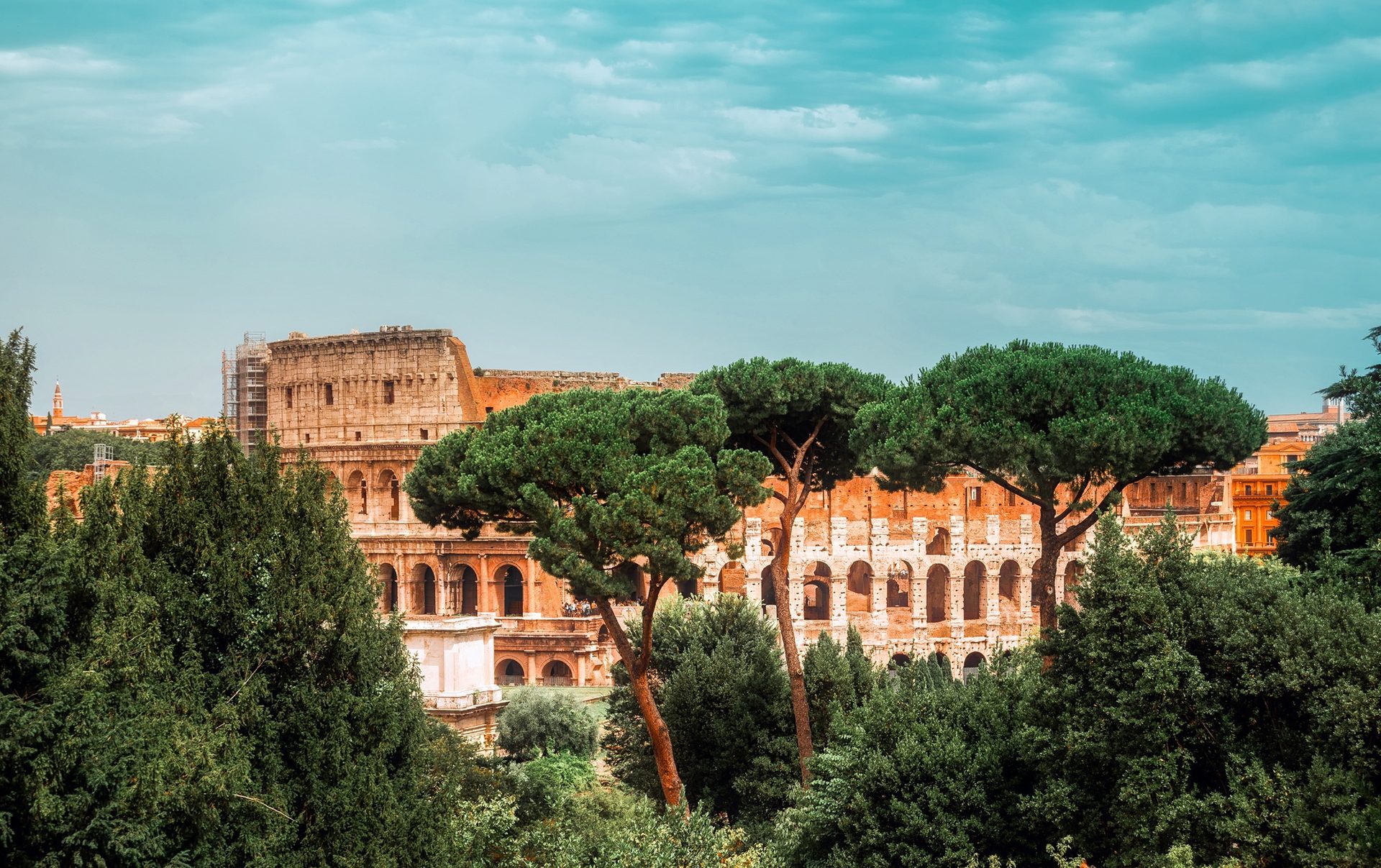 Panoramic view of the Colosseum framed by pine trees from Oppian Hill