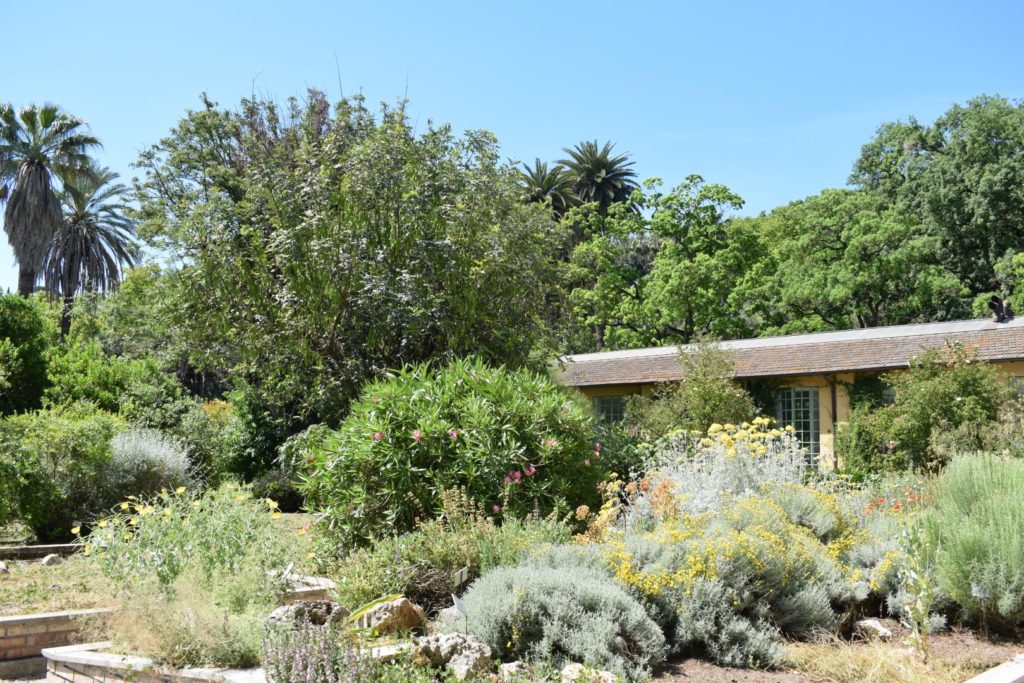 Orto Botanico