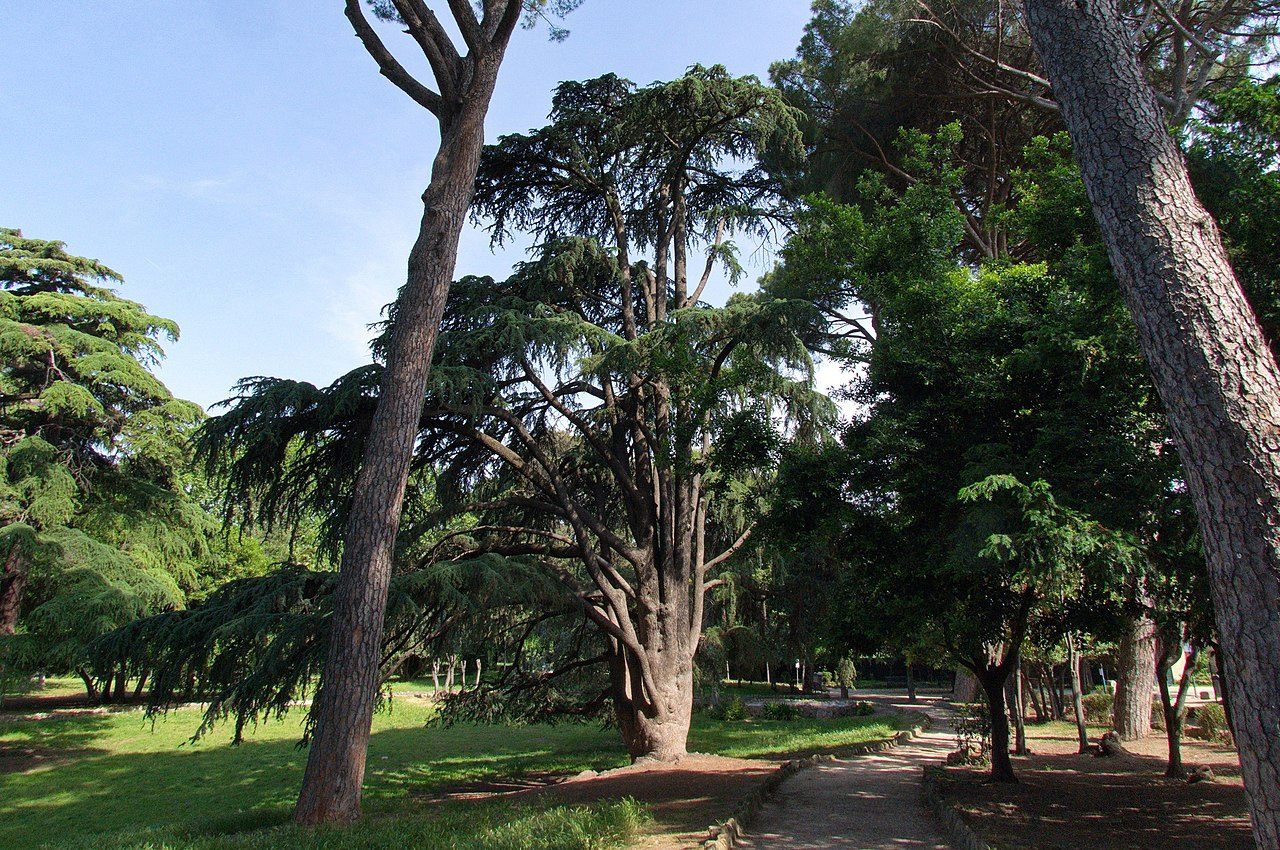 Villa Celimontana Gardens